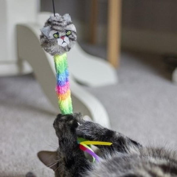 Παιχνίδι Γάτας με Ραβδί Rainbow Catnip Teaser