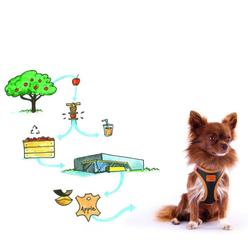 PREMIUM EDITION Επιστήθιο για Μικρόσωμους και Μεσαίου Μεγέθους Σκύλους Curli Clasp από Δ΄έρμα Μήλου Vegan Brown