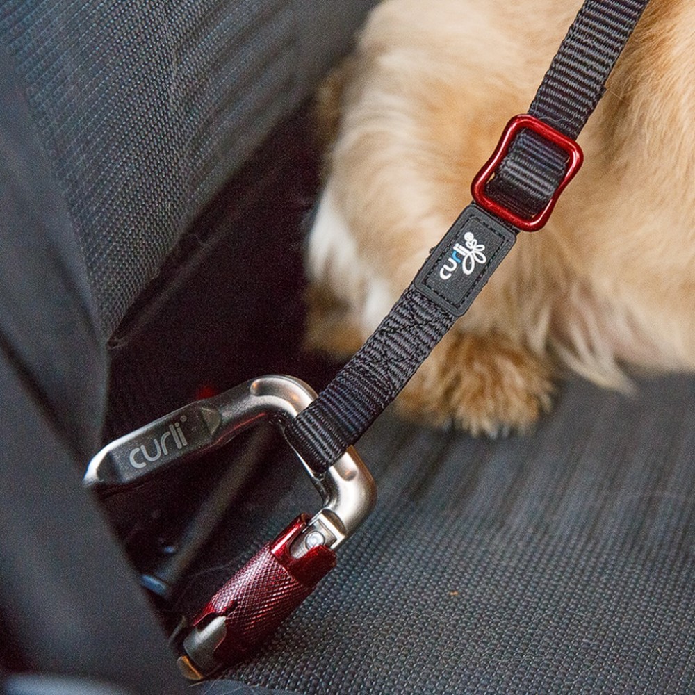 Curli Ζώνη Ασφαλείας Σκύλου για το Αυτοκίνητο