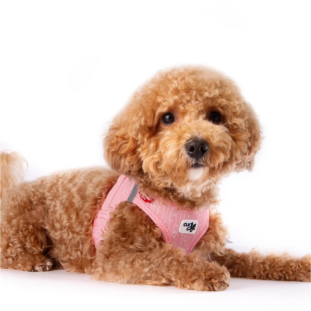 Επιστήθιο για Μικρόσωμους και Μεσαίου Μεγέθους Σκύλους Curli Clasp Fondant Pink Special Edition 2024