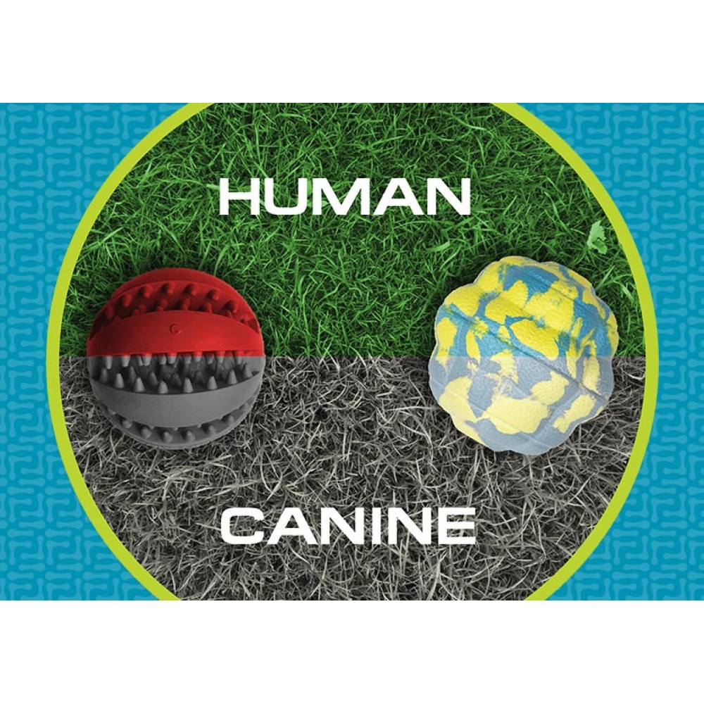 Παιχνίδι Σκύλου Foaber Hybrid Foam Rubber - Molecule