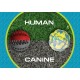 Παιχνίδι Σκύλου Foaber Hybrid Foam Rubber - Bounce Dog Ball Medium