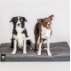 Μαξιλάρα Σκύλου NR Dogs Premium Soft Magic Grey
