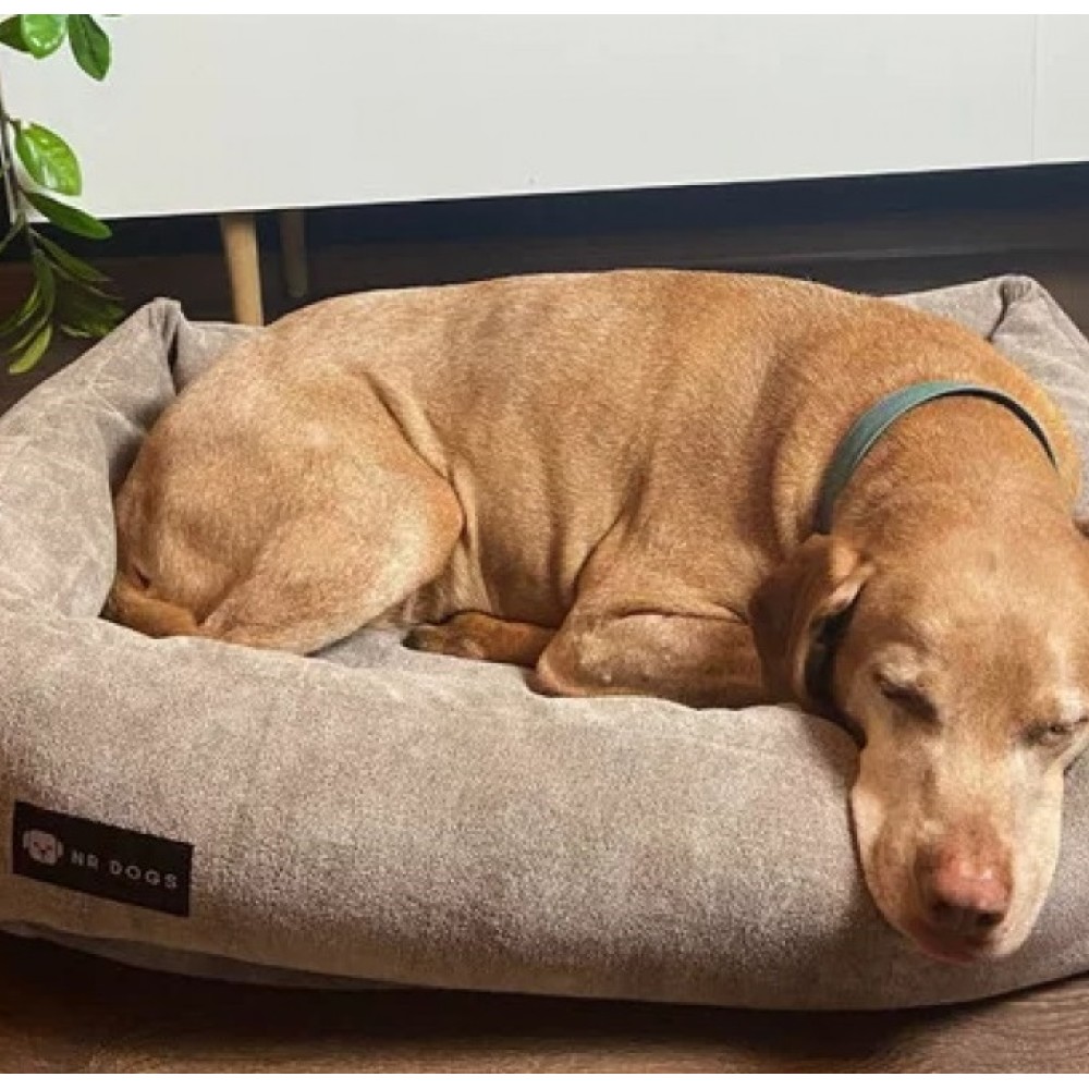 Οικολογικό - Υποαλλεργικό Κρεβάτι - Καναπές Kατοικίδιου NR Dogs Grey-Beige 80x60cm