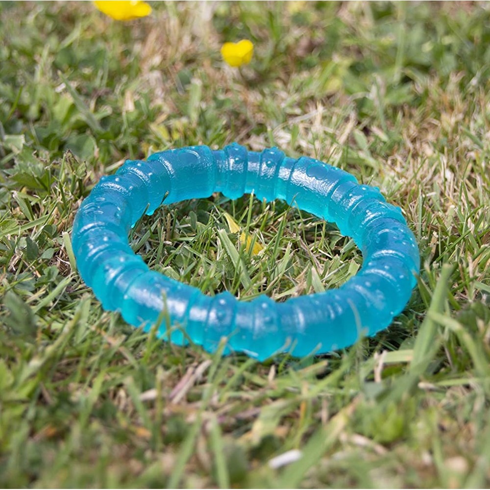 Παιχνίδι για Κουτάβια Αντιμικροβιακό - Biosafe Puppy Blue Ring