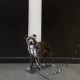 Οδηγός Σκύλου από Ανακυκλωμένα Υλικά Barkalot Cow 1.80x2cm