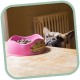 Beco Μπoλ Φαγητού - Νερού Σκύλου από Μπαμπού Pink