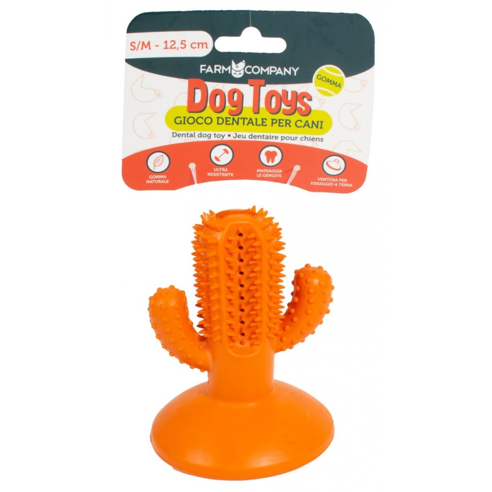 Μασητικό Παιχνίδι Σκύλου με Βεντούζα Cactus Dental 