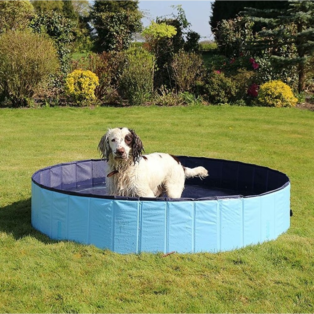Ανθεκτική Πισίνα για Σκύλους