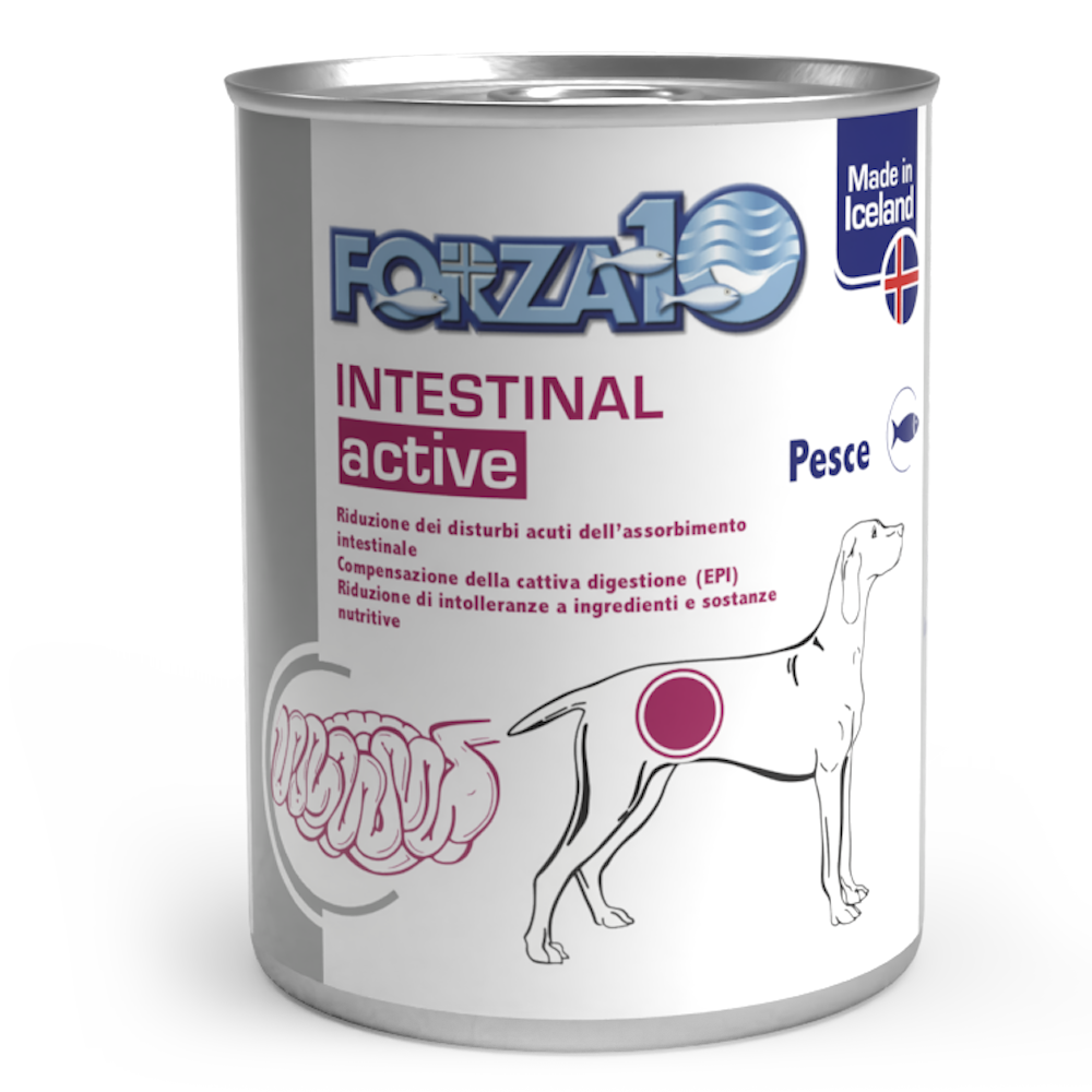 Forza10 Κονσέρβα Σκύλου Intestinal Active με Ψάρι 390gr