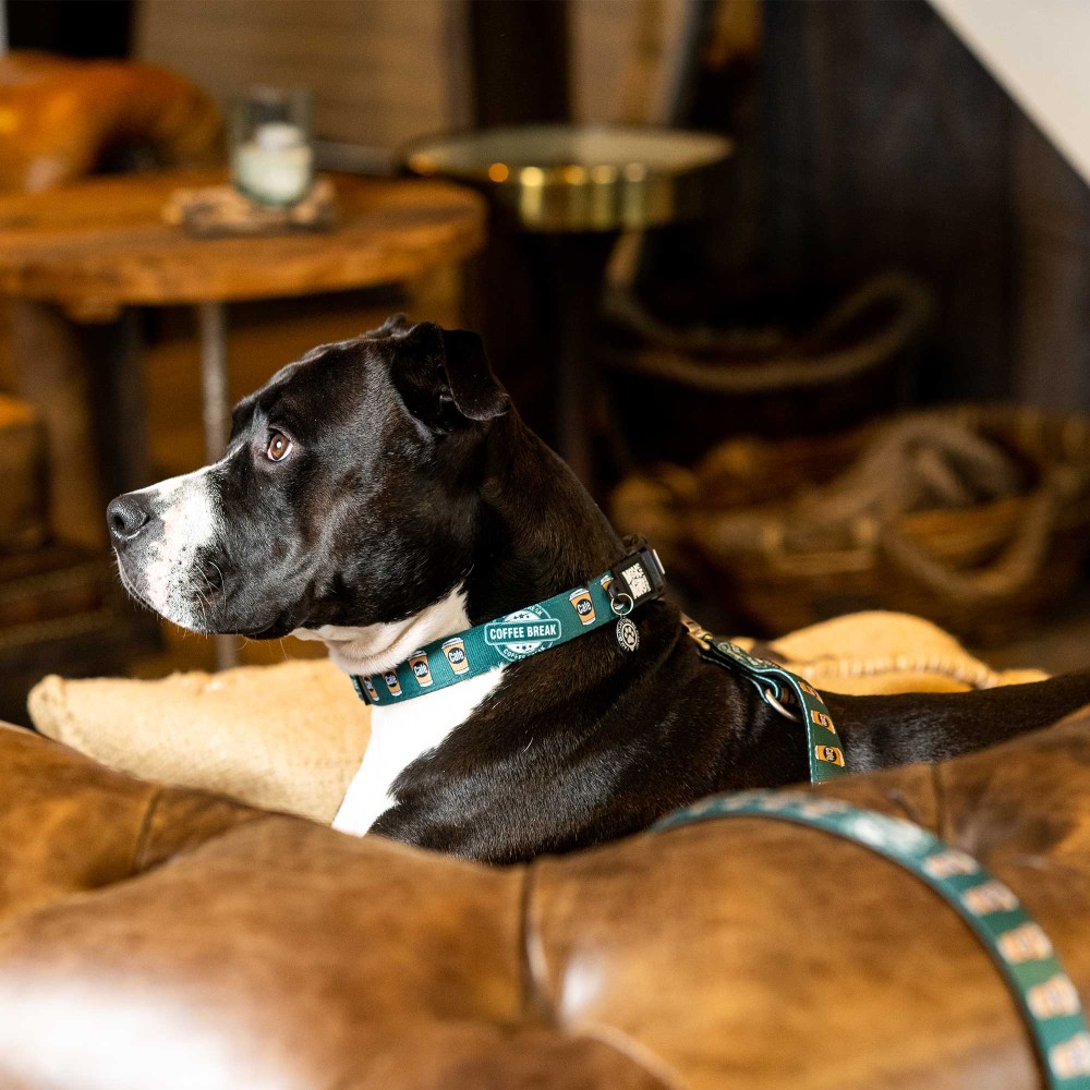 Επιστήθιο Σκύλου Max & Molly Coffee Break