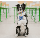 Οδηγός Περιπάτου Σκύλου Max & Molly Crayons