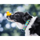 Περιλαίμιο Σκύλου Max & Molly Ducklings