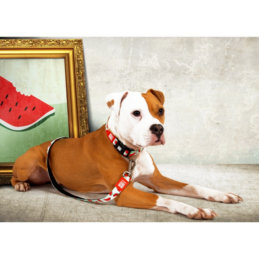 Οδηγός Περιπάτου Σκύλου Max & Molly Watermelon