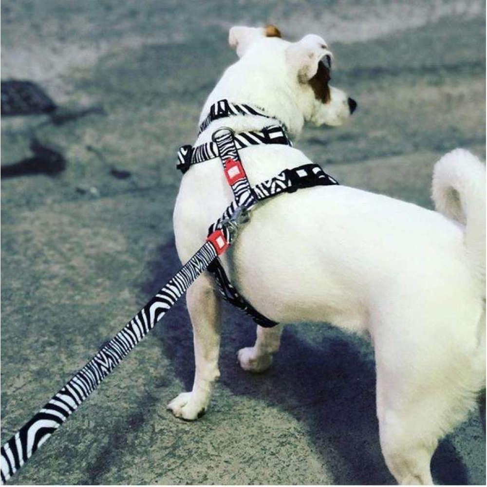 Επιστήθιο Σκύλου Max & Molly Zebra