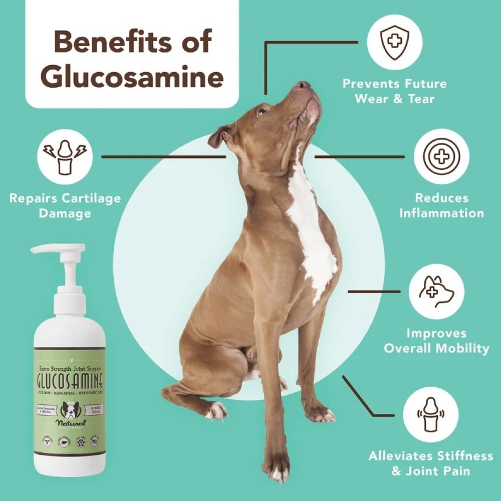 Έλαιο Γλυκοζαμίνης για Σκύλους για Ισχία και Αρθρώσεις 473ml