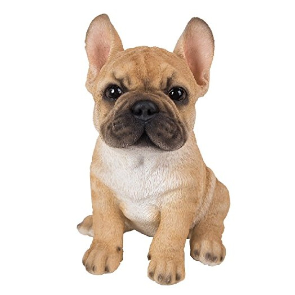 Διακοσμητικό Ομοίωμα Σκύλου από Ρητίνη Real Life French Bulldog Puppy 15cm