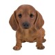 Διακοσμητικό Ομοίωμα Σκύλου από Ρητίνη Real Life Dachshund Puppy 17cm