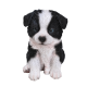 Διακοσμητικό Ομοίωμα Σκύλου από Ρητίνη Sheepdog Puppy 16cm