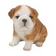 Διακοσμητικό Ομοίωμα Σκύλου απο Ρητίνη Real Life English Bulldog Puppy 19cm