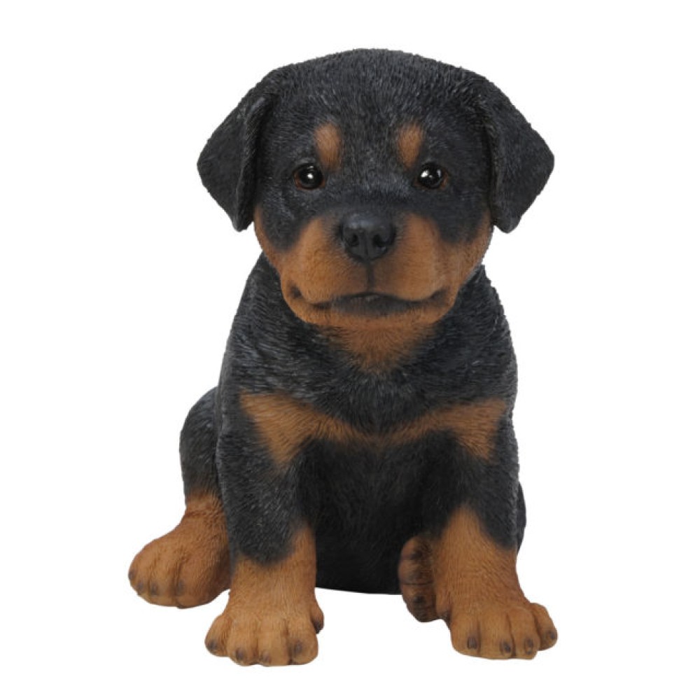 Διακοσμητικό Ομοίωμα Σκύλου από Ρητίνη Rottweiler Puppy 16cm